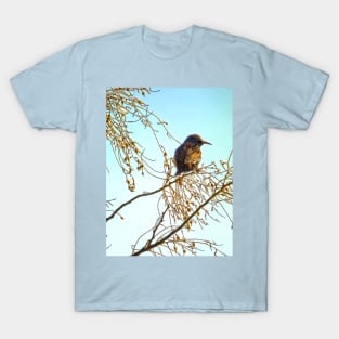 Birds - Sparrow on a Winter Branch T-Shirt